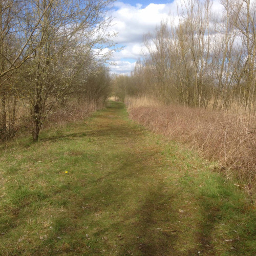 Preliminary Ecological Appraisals (PEA)