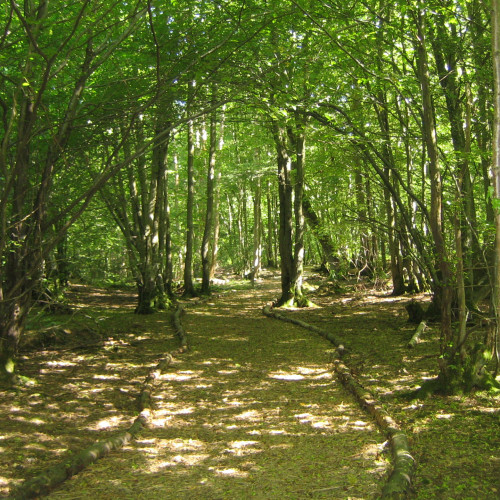 Landscape and Habitat Management Plans